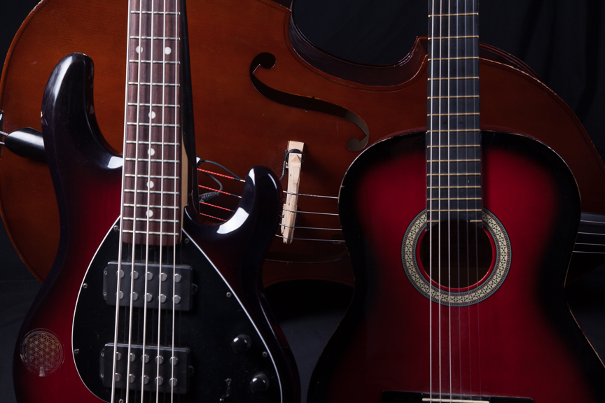 Bass Guitar Lesson SNED Music