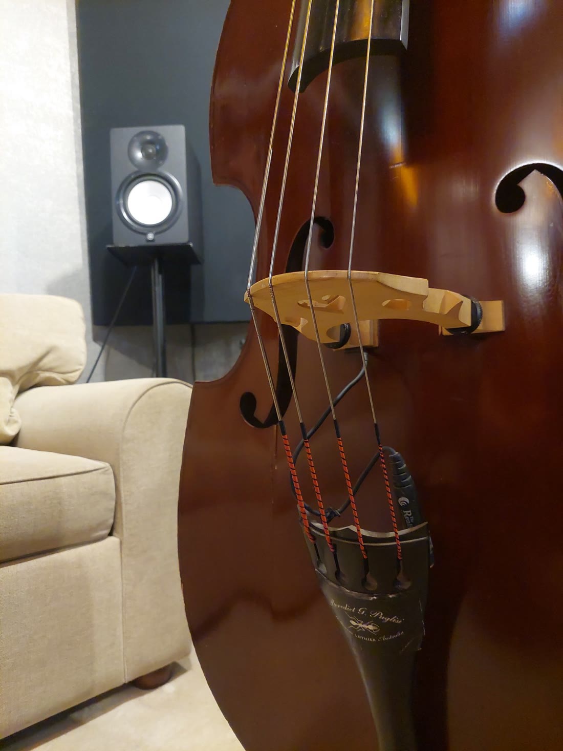 Bridge, strings and pickup of John's double bass in the studio